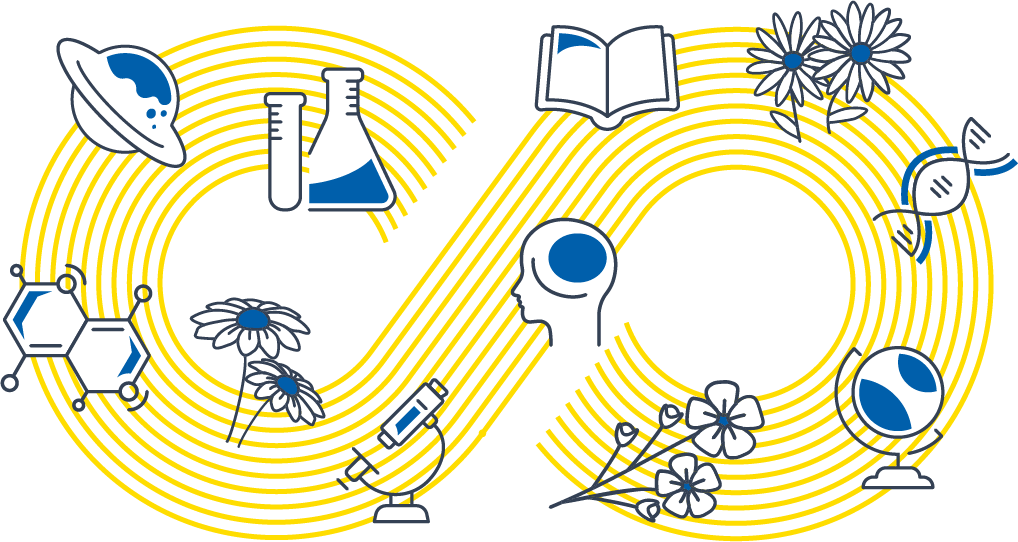 Infloresciencia llega a Pontevedra el 31 de&nbsp;mayo