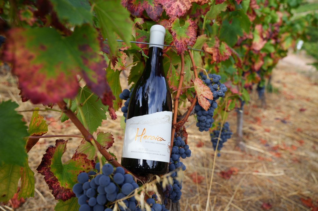 Una edición limitada de 2000 botellas de Heroica saldrá a la venta esta&nbsp;semana