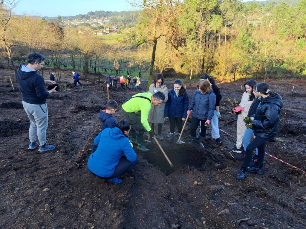PortAmérica reúne a más de 300 voluntarios en su jornada anual de&nbsp;reforestación