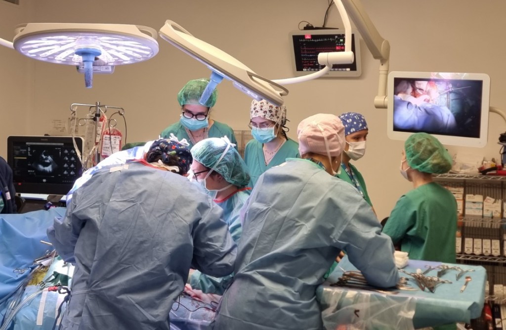 Galicia acada os 10.000 transplantes de órganos dende o inicio do&nbsp;programa