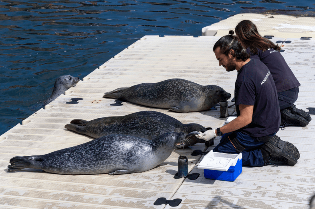 aventura coas focas aquarium finisterrae