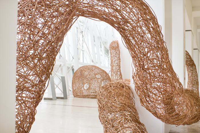 enleadas Julia de Cal