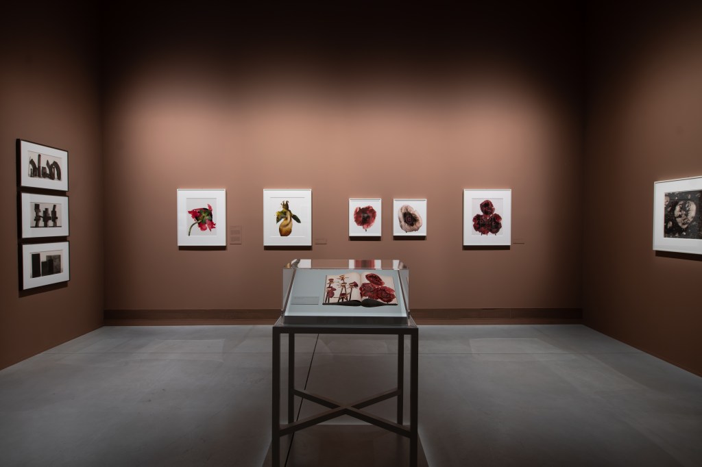 irving penn exposicion