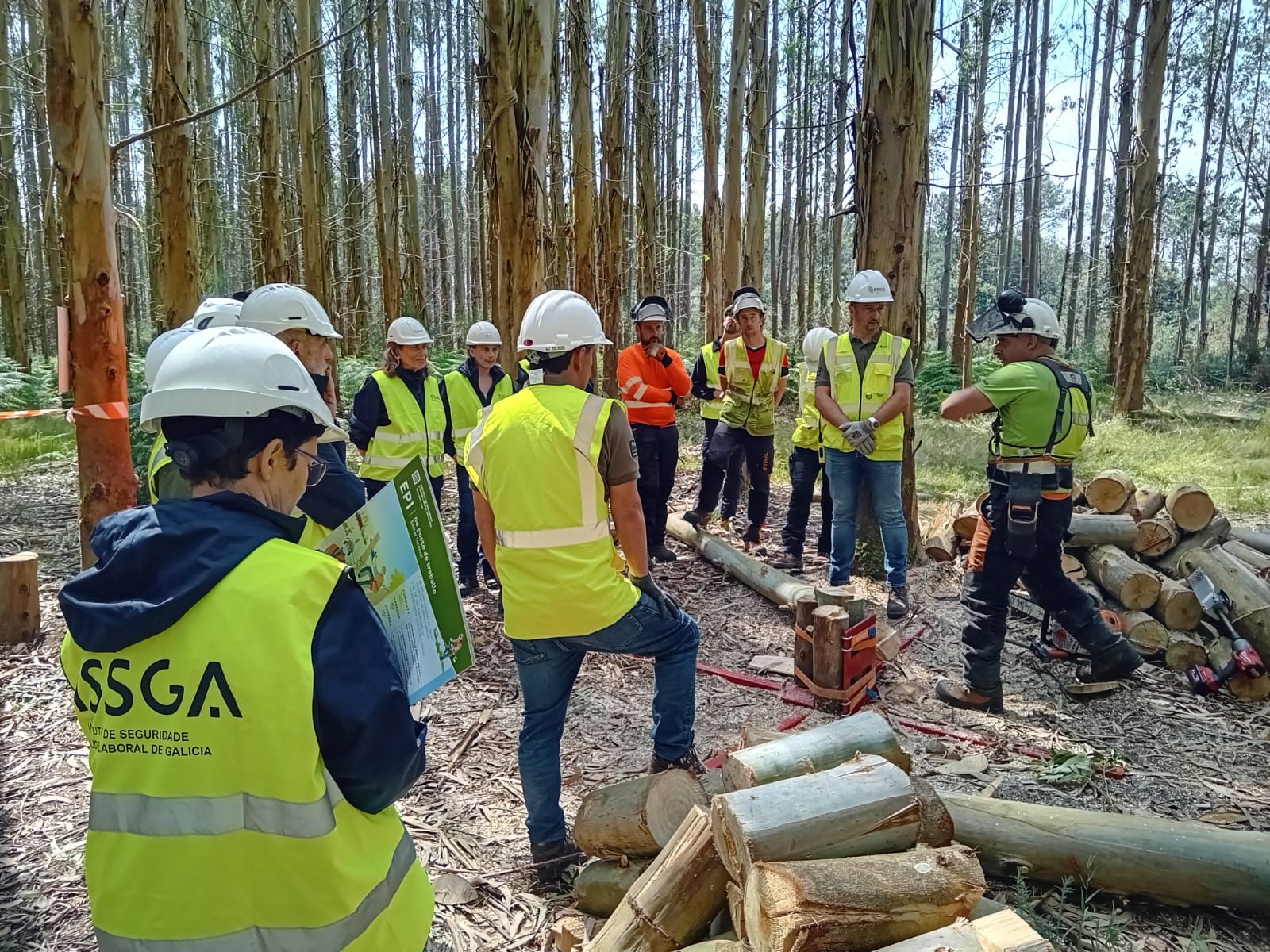 Una campaña busca concienciar sobre el uso de forma segura de motosierras y rozadoras en el sector forestal gallego