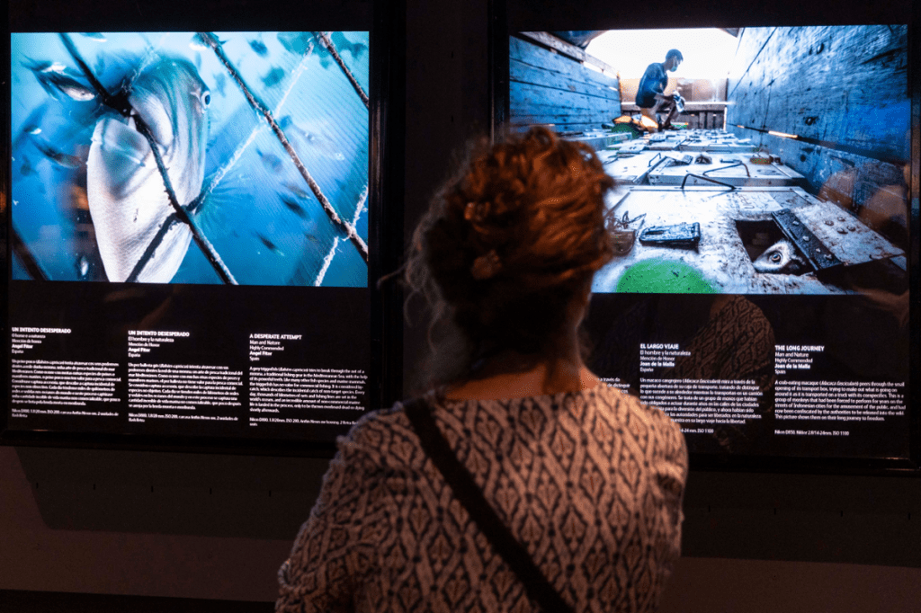 Aberta ao público a mostra ‘Fotógrafos/as da natureza&nbsp;2025’