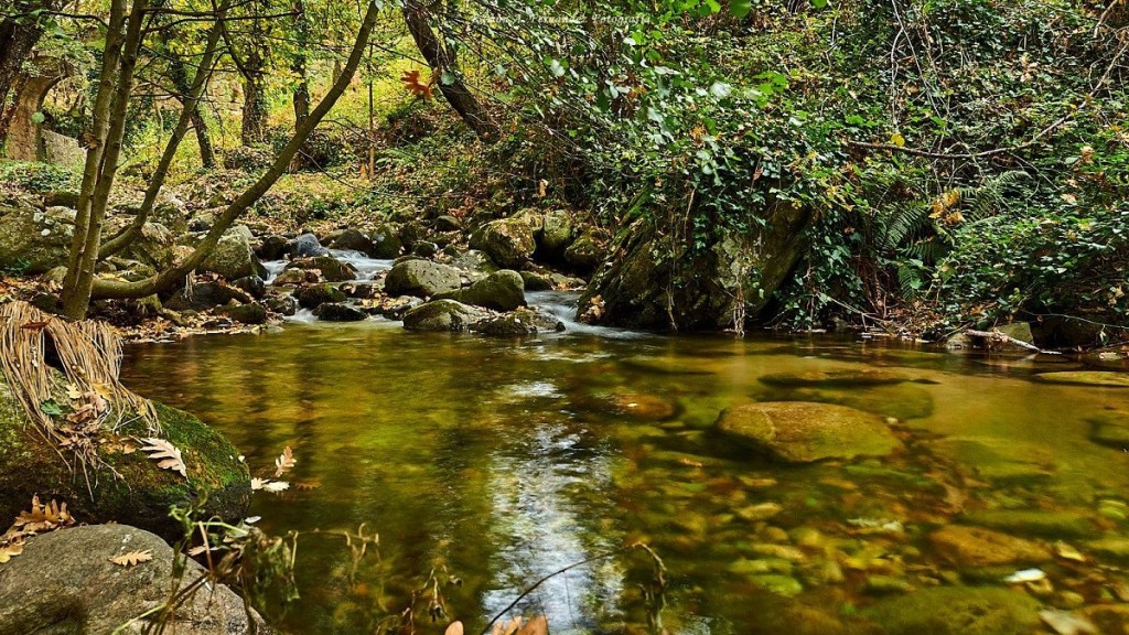 O grupo GEAMA da Universidade da Coruña loita contra a contaminación nas&nbsp;augas