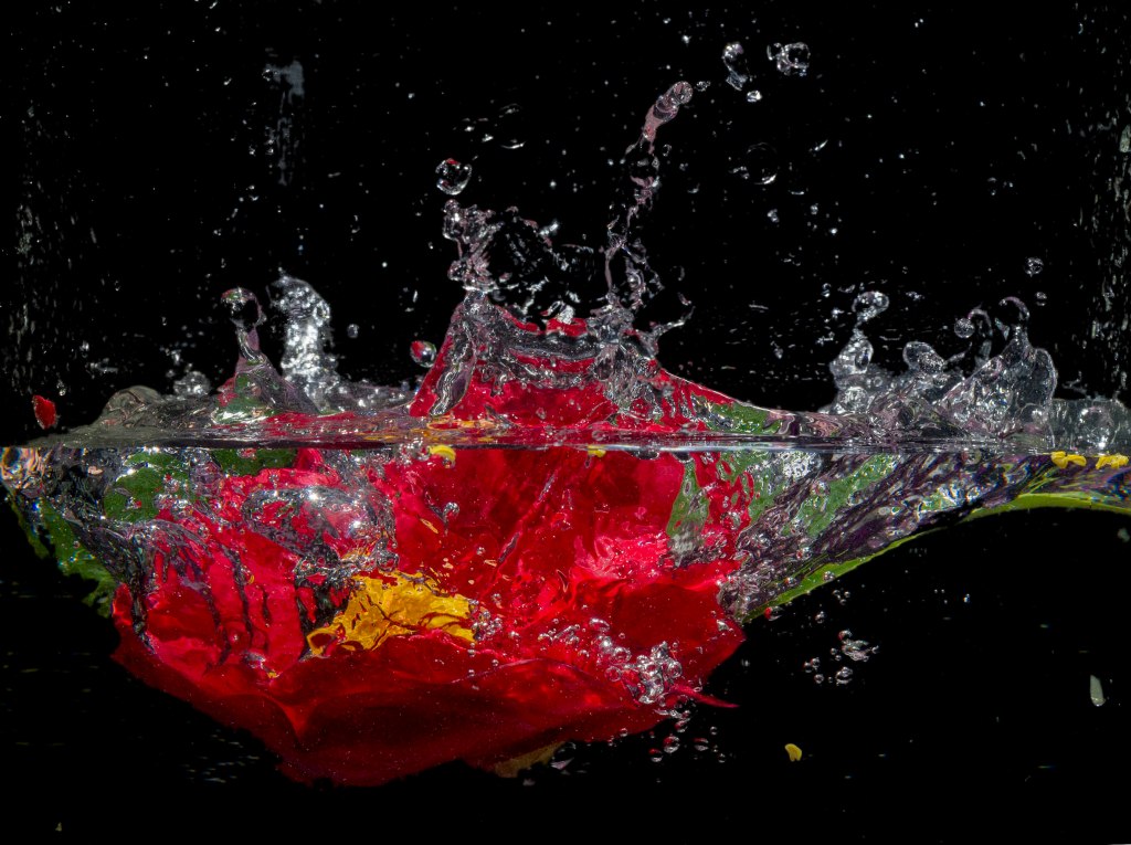 La RAGC y la USC convocan el XII Concurso “A Ciencia en Imaxe” para divulgar la ciencia a través de la&nbsp;fotografía