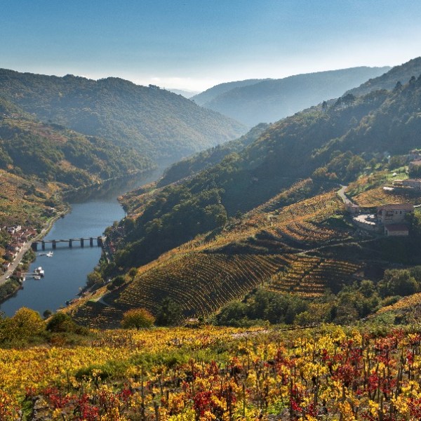 La bodega Via Romana consolida su posición como referente del enoturismo&nbsp;gallego