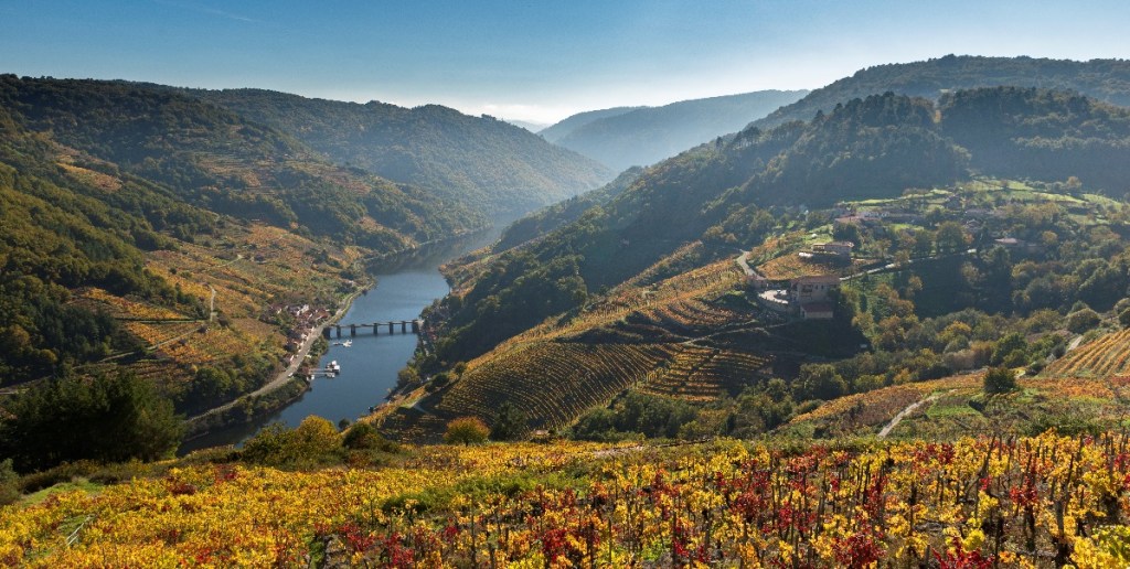La bodega Via Romana consolida su posición como referente del enoturismo gallego