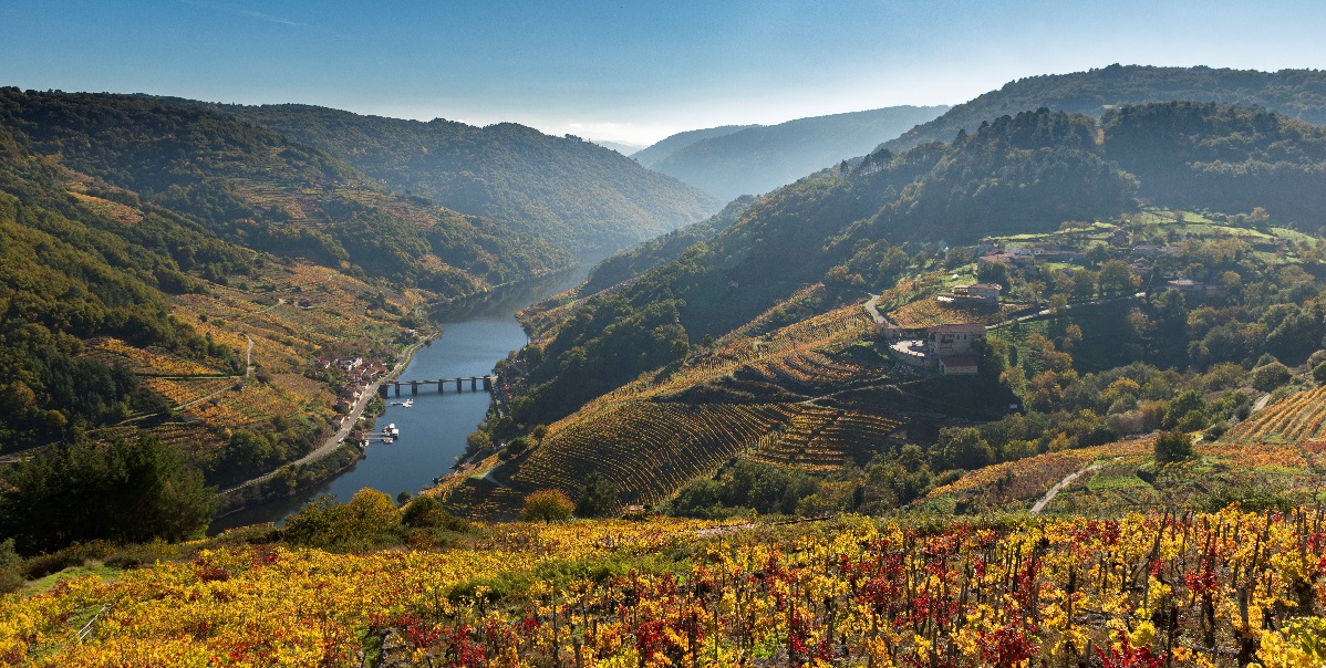 La bodega Via Romana consolida su posición como referente del enoturismo&nbsp;gallego