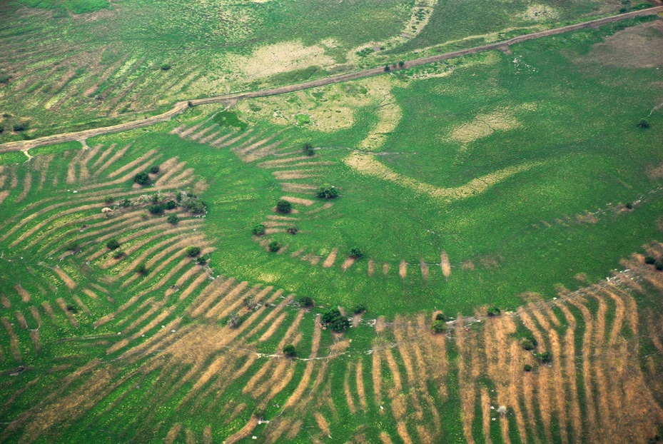 La USC revela cómo comunidades prehispánicas construyeron un gigantesco sistema hidráulico en Colombia