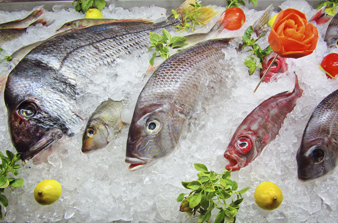 ‘Pescados de Primera’ y la Fundación Celta renuevan su colaboración para fomentar el consumo de pescado fresco entre los jóvenes
